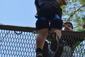 欧博娱乐-Scout连续五场比赛得分超过大胜，澳大利亚队挑战极限！的简单介绍